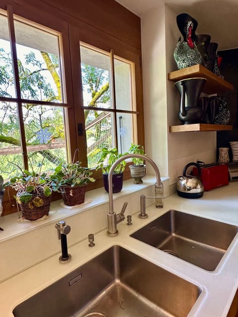 double sinks in modern kitchen 