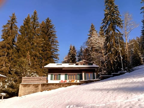 the beautiful chalet in the snow