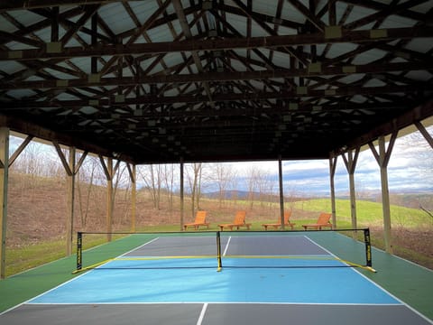 Pickleball Court