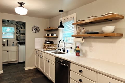 Kitchen Sink and Dishwasher