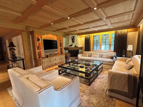 cozy and modern living room with tv and fire place 
