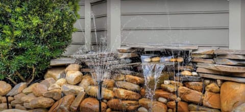 Beautiful pond with fountains