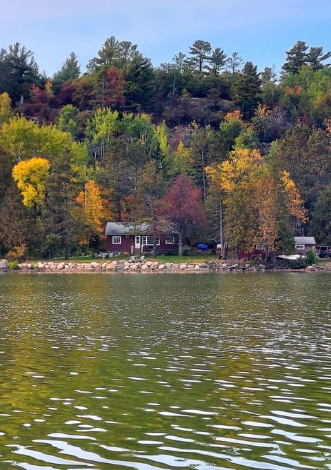Fall colors surround the cottage