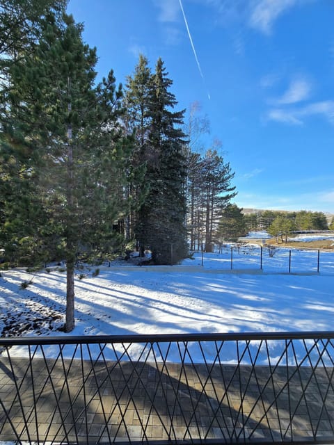 View from the Terrace