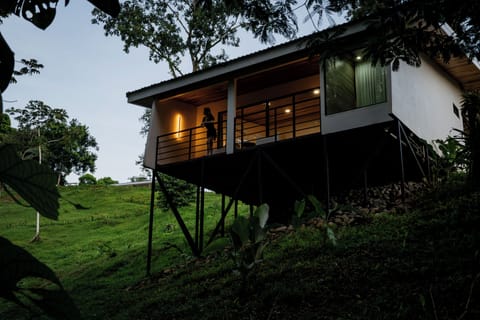 Panoramic windows open to private jungle preserve