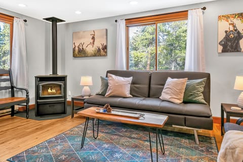 Cozy living room with pellet stove