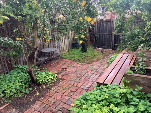 Courtyard Garden