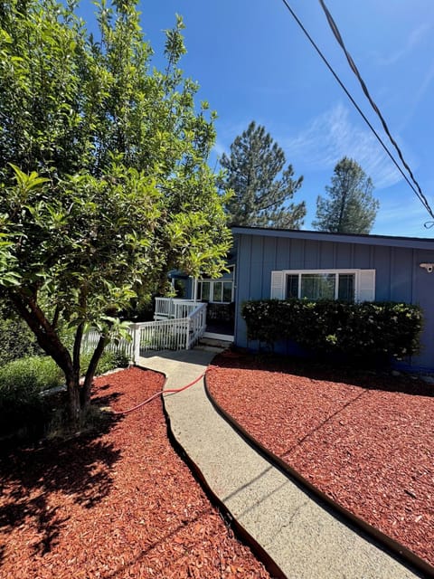 OTR with a beautiful apple tree.  