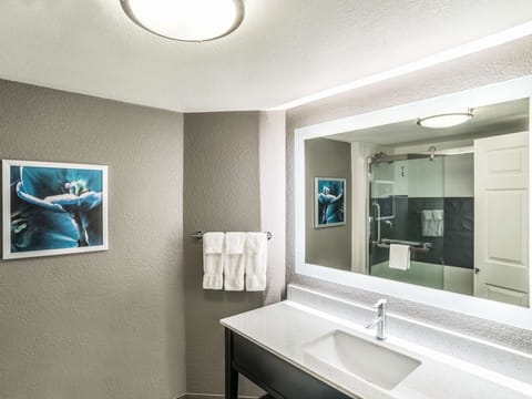 Refresh under bright vanity lighting with plenty of counter space.