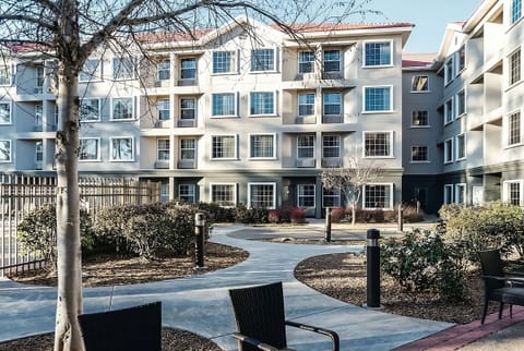 Stroll peaceful courtyard paths framed by landscaped greenery.