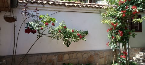 House entrance leading to the ourtyard