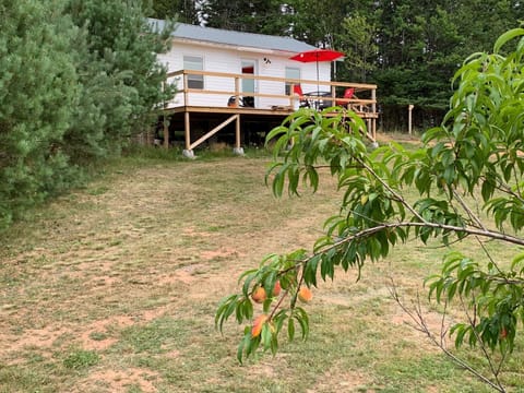 Grey bear cottage 