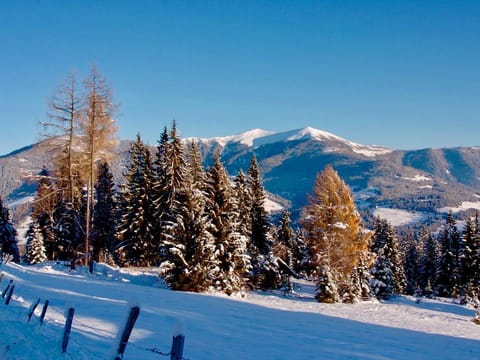 Verditzhütte - Hut Cabin in Carinthia, Austria