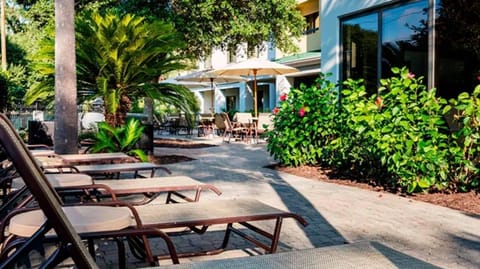 Soak up sunshine on quiet loungers surrounded by lush greenery.