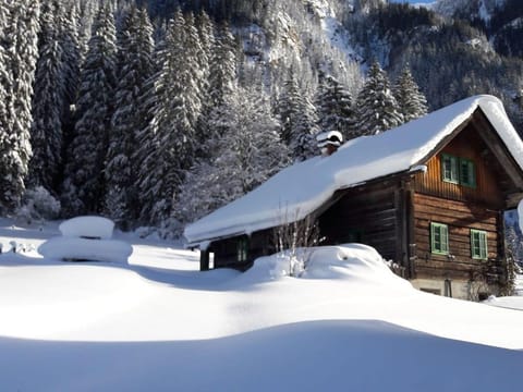 Waldhäuslhütte - vacation home/3 bedrooms/ shower, WC Cabin in Schladming