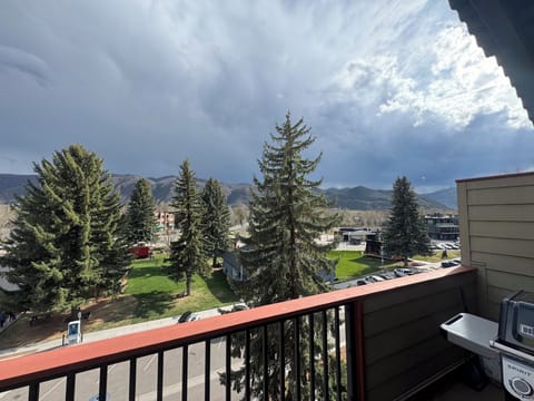 view from deck , roaring river , summer market , Free Range Restaurant