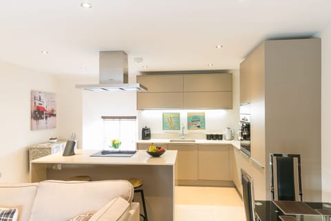 Apt. 2 Lily Pad Kitchen/Lounge/Dining Area