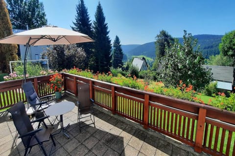 Patio / Balcony