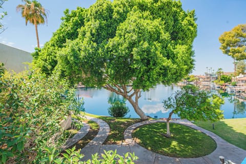 Lake View