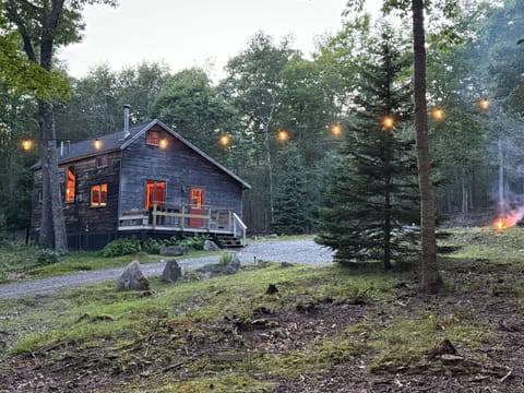 Cabin with backyard view