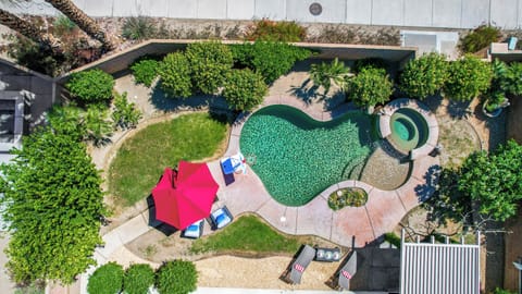 Backyard oasis