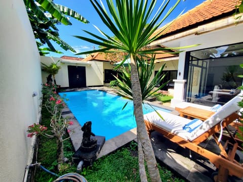 Extra Large Pool and patio
