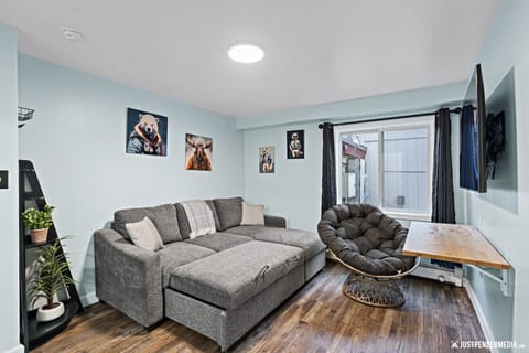 Pull out couch & desk