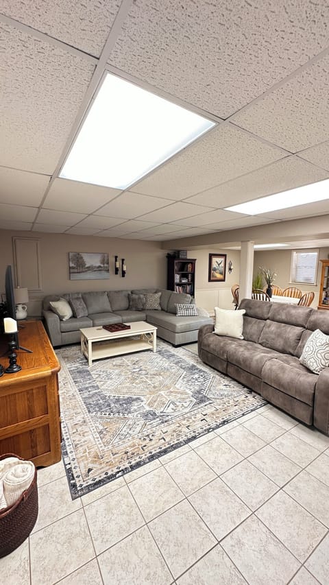 Basement Living Room