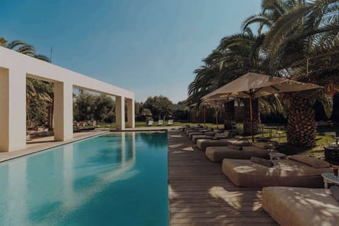 piscine et transats