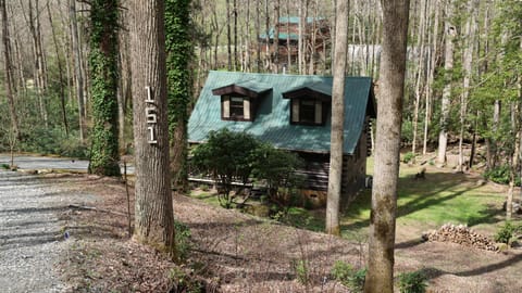 Front of cabin from top of driveway