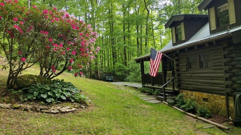 Rhododendron overlooking the front porch.