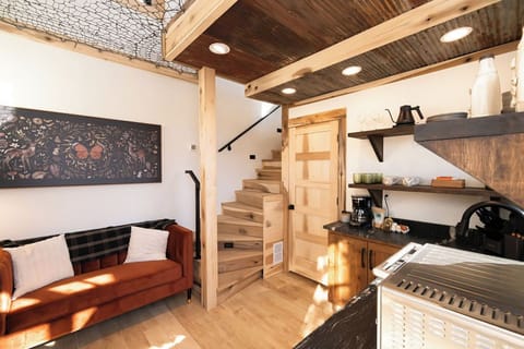 Living Area and Kitchen