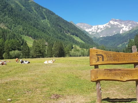 Houghton Haus - Ferienhaus House in Carinthia, Austria