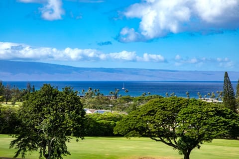 Sailboats on the horizon, palm trees in the breeze, and fairways below—Kapalua views don’t get better than this   
