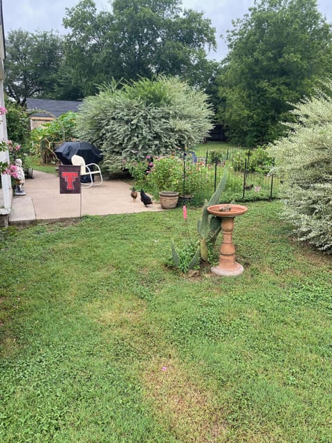 Backyard patio