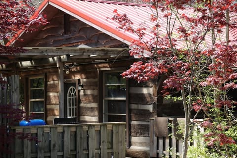 Wood-paneled porch with rustic railing, black wicker chairs, and bright red maple trees framing the cabin.