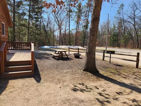 Outdoor space, each cabin has it's own picnic table, firepit, & charcoal grill.