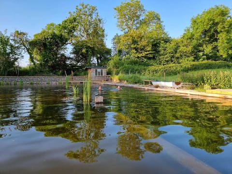Outdoor Swimming Pool Area