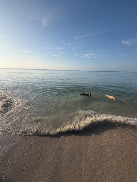 Cover photo- Short walk to pet friendly Callala Bay Beach