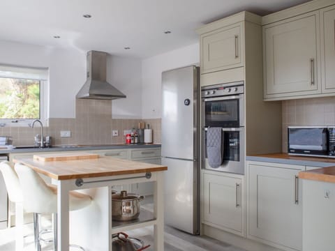 Kitchen, Countertop, Kitchen Appliance, Furniture, Cabinetry, Flooring, Major Appliance, Interior Design, Home Appliance, Wood