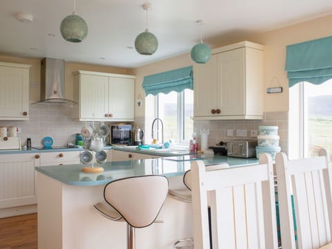 Furniture, Interior Design, Kitchen, Countertop, Flooring, Cabinetry, Wood, Floor, Kitchen Appliance, Light Fixture