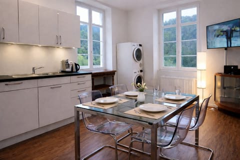 TESLA: Apartment for 3 guests. Welcome home! Only 30 min. Zurich / Rhine Falls Apartment in Schaffhausen, Switzerland