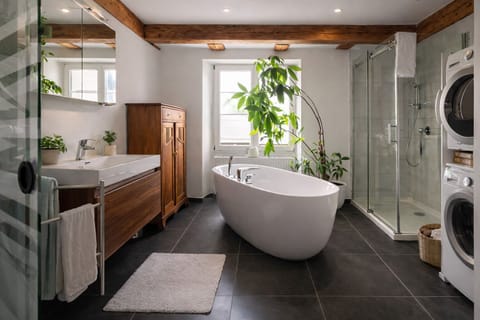 MARCO POLO: Exclusive Loft at the Swiss Border – 30 Min. to Zurich / Rhine Falls Apartment in Schaffhausen, Switzerland