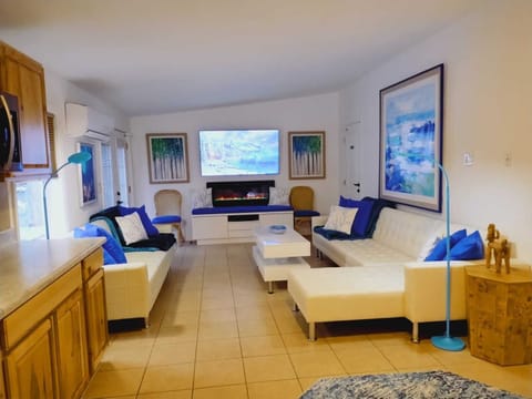 Modern living space with large TV and fireplace. Couch converst to Full Size bed