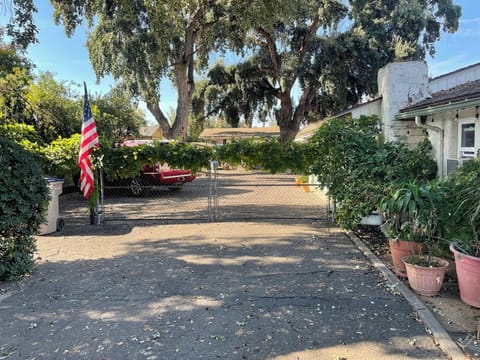 View of gated fenced acre property upon entering driveway; giant cork oaks ahead