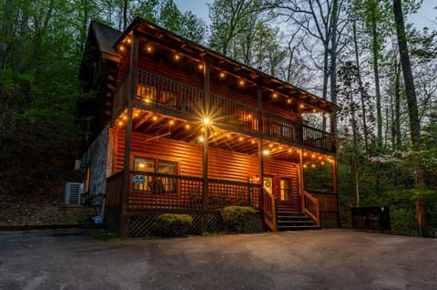 Covered in beautiful string lights for that warm and cozy vibe!
