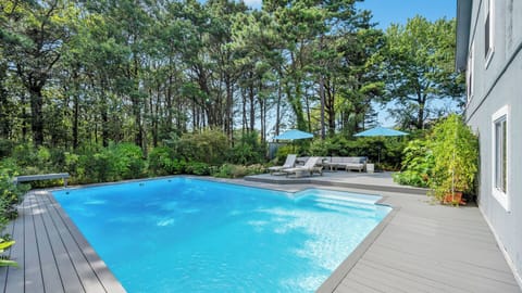 Backyard and pool deck