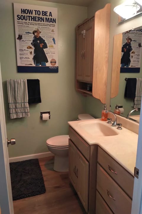 Main bathroom off of the hallway with a newly remodeled shower