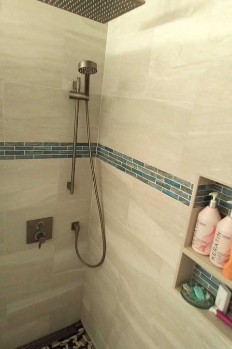 Shower in the main bathroom, has both an overhead and a handheld water source