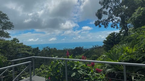 View From Back Deck